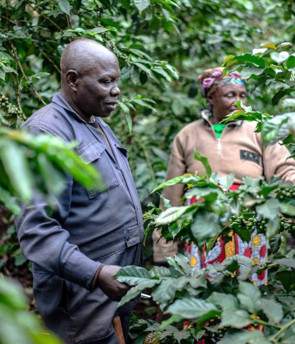 RS18239_Farm-Africa_Kenya_Justus-carbon